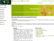 Tablet Screenshot of pontes.ro